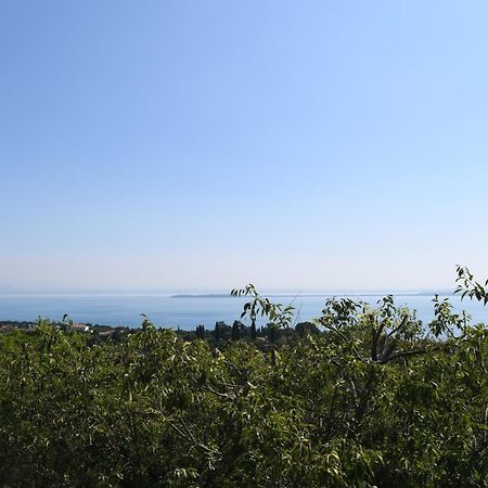 Alice'S Nest-Lake View House Padenghe sul Garda Εξωτερικό φωτογραφία