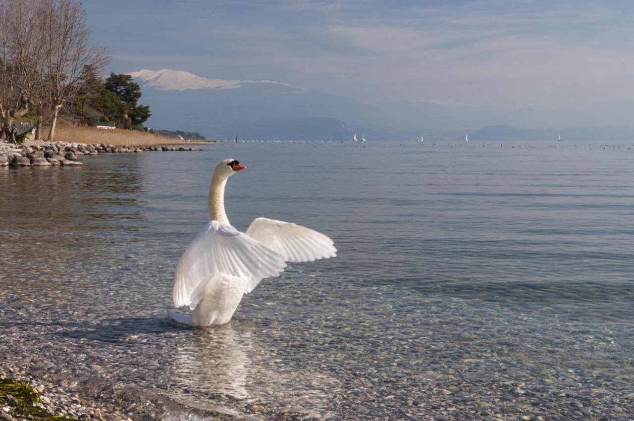 Alice'S Nest-Lake View House Padenghe sul Garda Εξωτερικό φωτογραφία